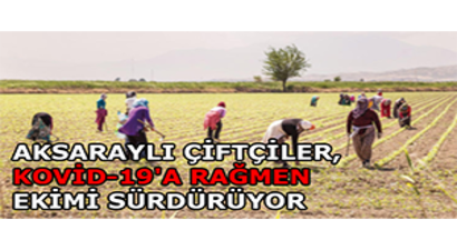 Aksaraylı Çiftçiler, Kovid-19`a Rağmen Ekimi Sürdürüyor