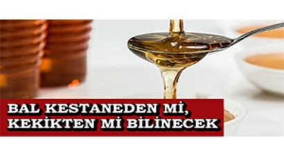 Bal Kestaneden Mi, Kekikten Mi Bilinecek