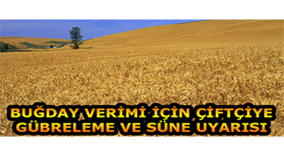 Buğday Verimi İçin Çiftçiye Gübreleme Ve Süne Uyarısı