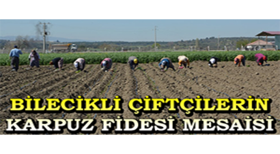 Bilecikli Çiftçilerin Karpuz Fidesi Mesaisi
