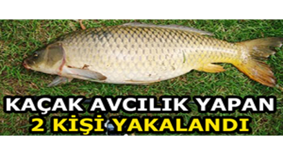 Kaçak Avcılık Yapan 2 Kişi Yakalandı