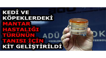 Kedi ve Köpeklerdeki Mantar Hastalığı Türünün Tanısı İçin Kit Geliştirildi