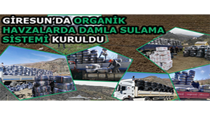 Giresun`da Organik Havzalarda Damla Sulama Sistemi Kuruldu