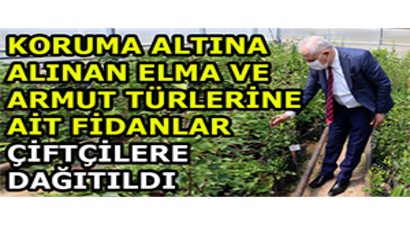 Koruma Altına Alınan Elma ve Armut Türlerine Ait Fidanlar Çiftçilere Dağıtıldı