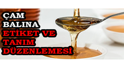 Çam Balına Etiket ve Tanım Düzenlemesi