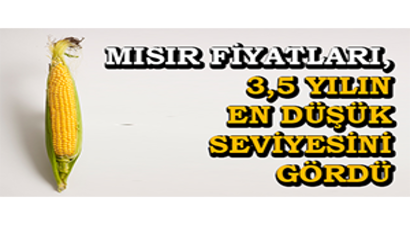 Mısır Fiyatları, 3,5 Yılın En Düşük Seviyesini Gördü