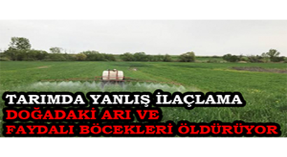 Tarımda Yanlış İlaçlama Doğadaki Arı Ve Faydalı Böcekleri Öldürüyor