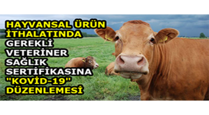Hayvansal Ürün İthalatında Gerekli Veteriner Sağlık Sertifikasına `Kovid-19` Düzenlemesi