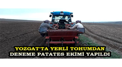 Yozgat`ta Yerli Tohumdan Deneme Patates Ekimi Yapıldı