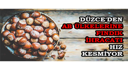 Düzce`den AB Ülkelerine Fındık İhracatı Hız Kesmiyor