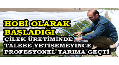 Hobi Olarak Başladığı Çilek Üretiminde Talebe Yetişemeyince Profesyonel Tarıma Geçti