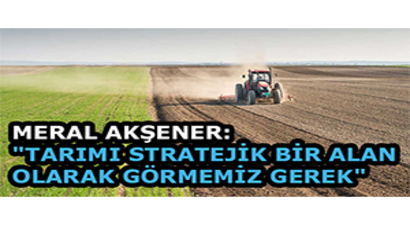 Meral Akşener: `Tarımı Stratejik Bir Alan Olarak Görmemiz Gerek`
