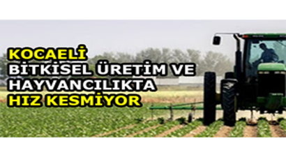 Kocaeli Bitkisel Üretim ve Hayvancılıkta Hız Kesmiyor