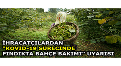 İhracatçılardan `Kovid-19 Sürecinde Fındıkta Bahçe Bakımı` Uyarısı