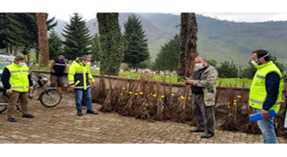 Ordu`da Üreticiler, Fındığın Yanında Kestaneyle Ek Gelir Sağlayacak