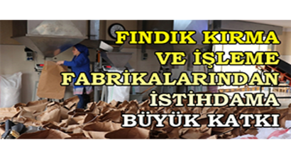 Fındık Kırma Ve İşleme Fabrikalarından İstihdama Büyük Katkı