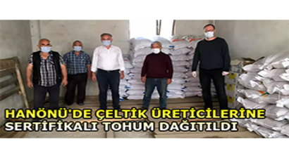 Hanönü`de Çeltik Üreticilerine Sertifikalı Tohum Dağıtıldı