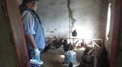 CİMER`e Talep Etti, Karantina Bölgesindeki Hayvanlarının Yemlenmesini Sağladı