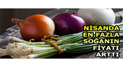Nisanda En Fazla Soğanın Fiyatı Arttı