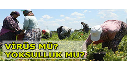 Virüs mü? Yoksulluk mu?