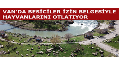 Van`da Besiciler İzin Belgesiyle Hayvanlarını Otlatıyor