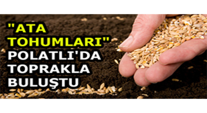 `Ata Tohumları` Polatlı`da Toprakla Buluştu