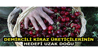 Demircili Kiraz Üreticilerinin Hedefi Uzak Doğu