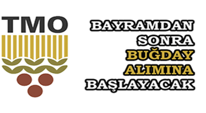 TMO Bayramdan Sonra Buğday Alımına Başlayacak