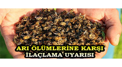 Arı Ölümlerine Karşı İlaçlama Uyarısı