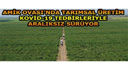 Amik Ovası`nda Tarımsal Üretim Kovid-19 Tedbirleriyle Aralıksız Sürüyor
