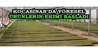 Kocasinan`da Yöresel Ürünlerin Ekimi Başladı