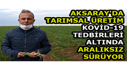 Aksaray`da Tarımsal Üretim Kovid-19 Tedbirleri Altında Aralıksız Sürüyor