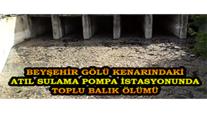 Beyşehir Gölü Kenarındaki Atıl Sulama Pompa İstasyonunda Toplu Balık Ölümü