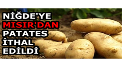 Niğde`ye Mısır`dan Patates İthal Edildi