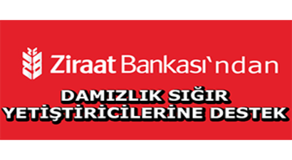 Ziraat Bankası`ndan Damızlık Sığır Yetiştiricilerine Destek