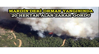 Mardin`deki Orman Yangınında 20 Hektar Alan Zarar Gördü
