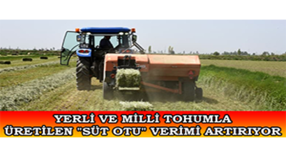 Yerli Ve Milli Tohumla Üretilen `Süt Otu` Verimi Artırıyor
