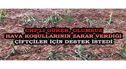 CHP`li Gürer, Olumsuz Hava Koşullarının Zarar Verdiği Çiftçiler İçin Destek İstedi