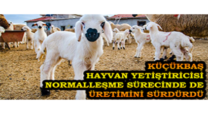 Küçükbaş Hayvan Yetiştiricisi Normalleşme Sürecinde de Üretimini Sürdürdü