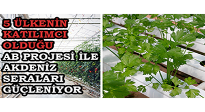 5 ÜLKENİN KATILIMCI OLDUĞU AB PROJESİ İLE AKDENİZ SERALARI GÜÇLENİYOR