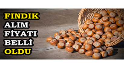 Fındık Alım Fiyatı Belli Oldu
