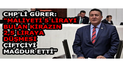 CHP`li Gürer: `Maliyeti 5 Lirayı Bulan Kirazın 2,5 Liraya Düşmesi Çiftçiyi Mağdur Etti`