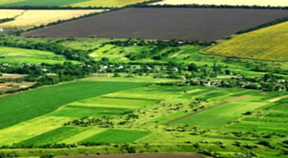 HAZİNEYE AİT TARIM ARAZİLERİ ÇİFTÇİLERE KİRALANACAK