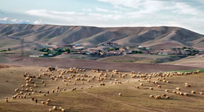 Şanlıurfa`nın Bozkır Ekosistemleri Koruma Altına Alınıyor