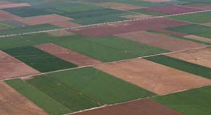 Denizli`de Bu Yıl 6 Bin 500 Hektar Arazi Toplulaştırıldı