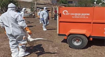 KUŞ GRİBİ ŞÜPHESİYLE 200 KANATLI HAYVAN İTLAF EDİLDİ!