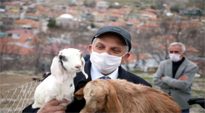 Besicilere Küpeleme Ve Aşılama Desteği