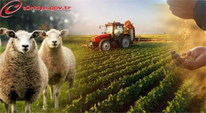 ÇKS BAŞVURULARI 31 ARALIK`TA SONA ERECEK