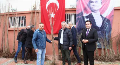 Taşova`da Kiraz ve Kuşburnu Fidanı Dağıtıldı