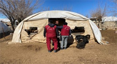 TARIM VE ORMAN BAKANLIĞINCA DEPREM BÖLGESİNDE HAYVAN ÇADIRI, YEM VE MAMA DAĞITIMI DEVAM EDİYOR